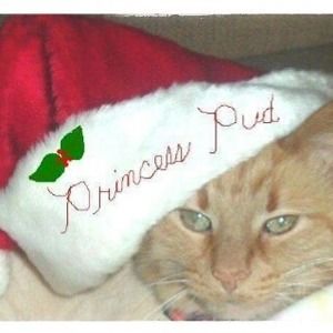 Meet your Posher, Lynette